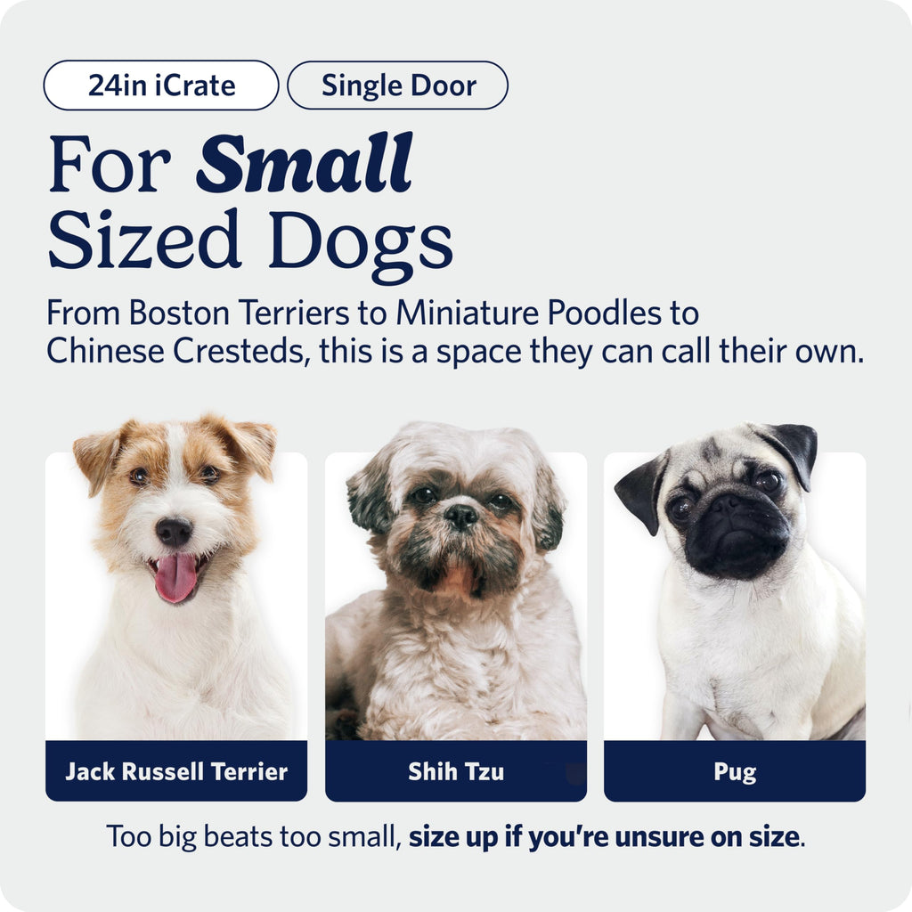 MidWest iCrate — Jaula Plegable de Doble Puerta con Divisor para Perros Medianos