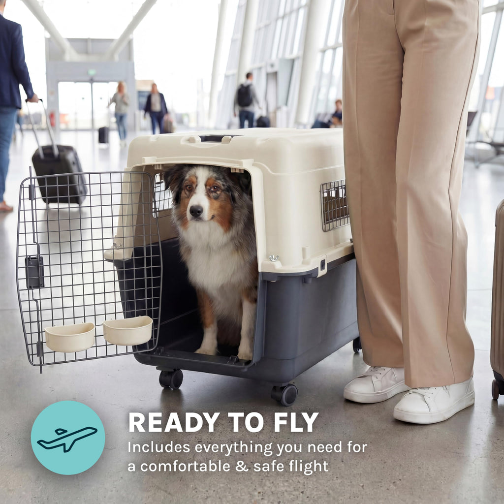 SportPet — Kennel de Viaje Certificado por Aerolíneas con Comederos para Perros y Gatos
