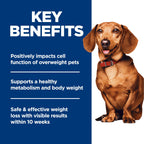Hill's Science Diet Small & Mini — Croquetas para Perro Adulto Control de Peso Razas Pequeñas y Mini