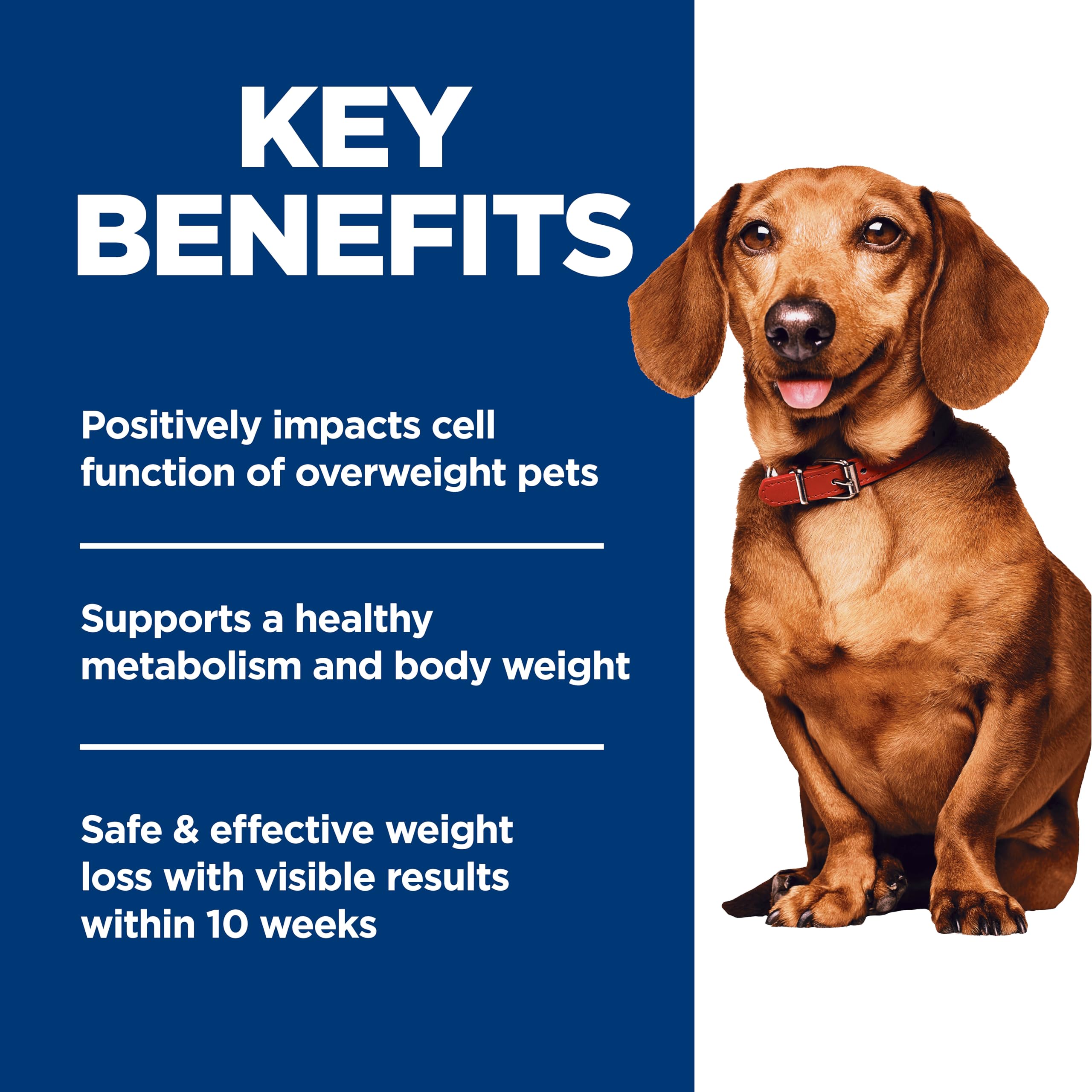 Hill's Science Diet Small & Mini — Croquetas para Perro Adulto Control de Peso Razas Pequeñas y Mini