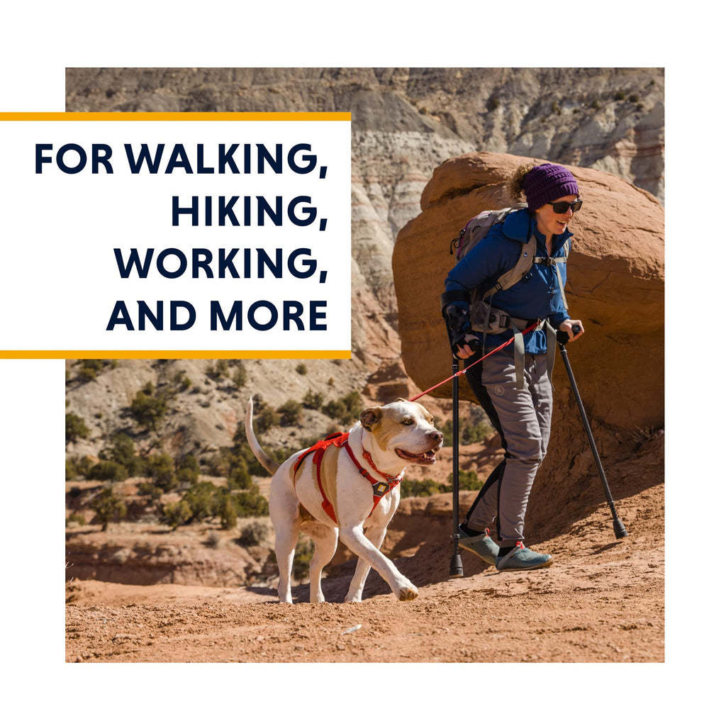 Ruffwear Web Master — Arnés de Soporte y Asistencia Multi-Uso para Perro