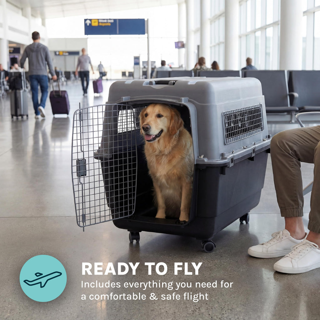 SportPet — Kennel de Viaje Certificado por Aerolíneas con Comederos para Perros y Gatos