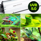 REPTI ZOO — Kit de Iluminación UVB T5 HO para Reptiles con Reflector Curvo y Lámpara 5.0 UVB