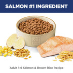 Hill's Science Diet Adult 1-6 — Alimento Seco de Nutrición Premium para Gato Adulto