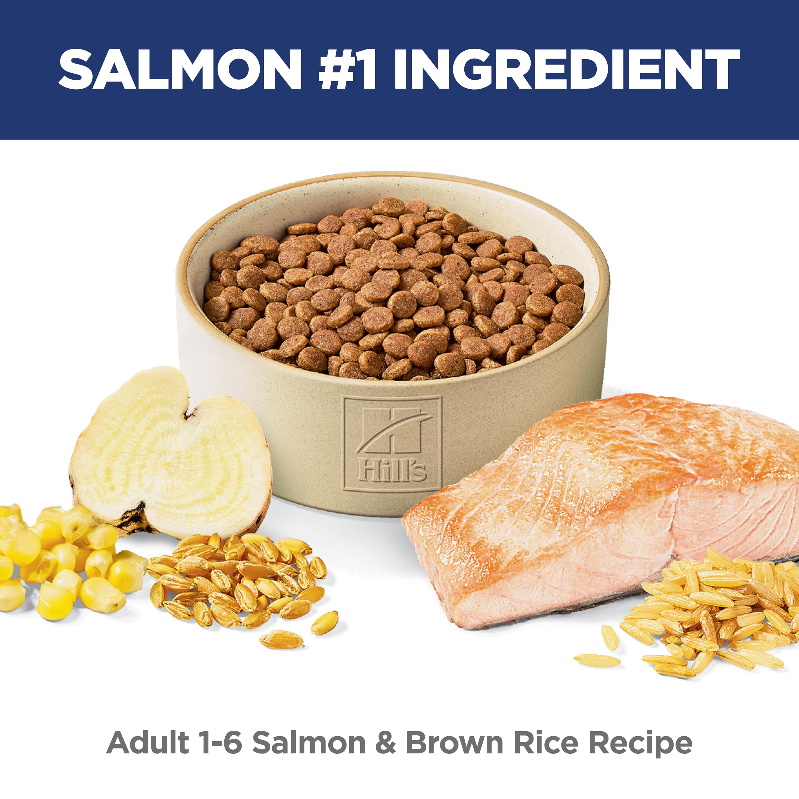 Hill's Science Diet Adult 1-6 — Alimento Seco de Nutrición Premium para Gato Adulto