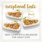 Fancy Feast Delicias con Cheddar — Paquete Variado de Alimento Húmedo para Gatos con Pollo a la Plancha, Pavo o Pescado Blanco en Salsa con Queso Cheddar — 24 Latas de 85g