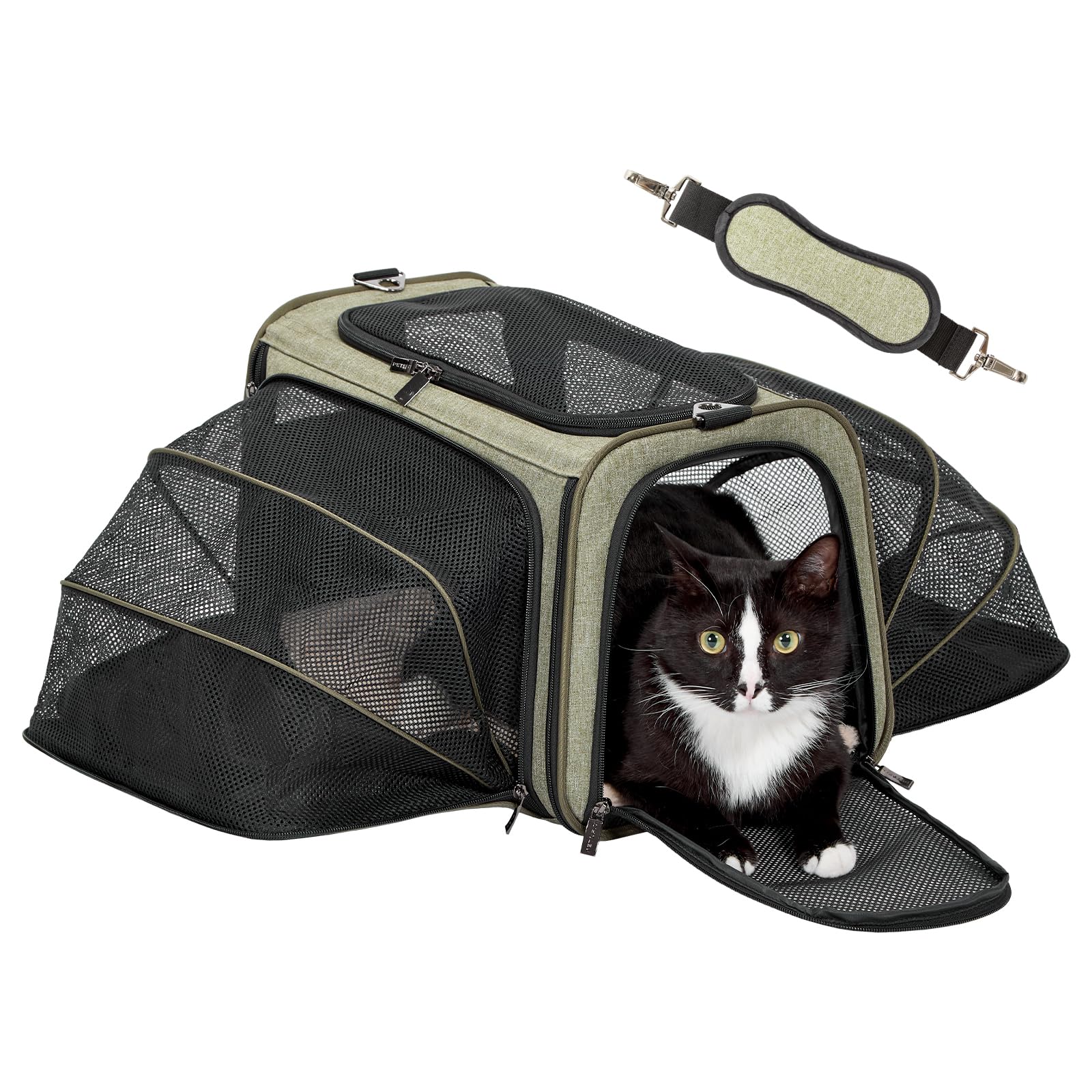 Petsfit — Transportadora Expandible para Gatos y Perros Pequeños, Aprobada por Aerolíneas, Plegable, Lavable y a Prueba de Escapes con 2 Paneles de Expansión