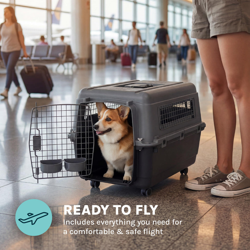 SportPet — Kennel de Viaje Certificado por Aerolíneas con Comederos para Perros y Gatos