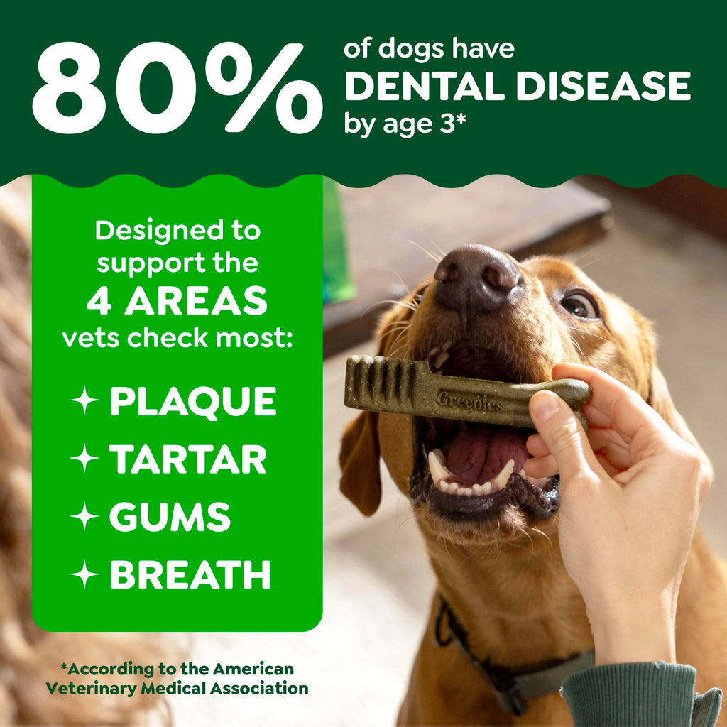 Greenies Teenie — Premios Dentales Naturales para Perro Pequeño