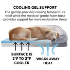 Furhaven Cooling Gel — Cama con Gel Refrescante para Perro
