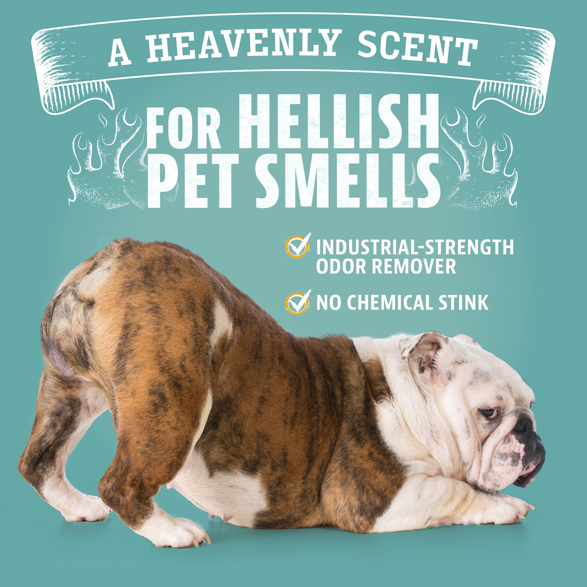 Angry Orange — Eliminador de Olores para Mascotas con Aceite Natural de Naranja para Orina de Perro y Gato, Manchas en Alfombras y Malos Olores