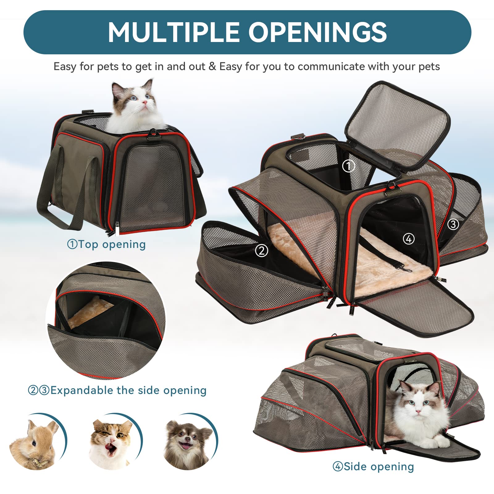 Petsfit — Transportadora Expandible para Gatos y Perros Pequeños, Aprobada por Aerolíneas, Plegable, Lavable y a Prueba de Escapes con 2 Paneles de Expansión