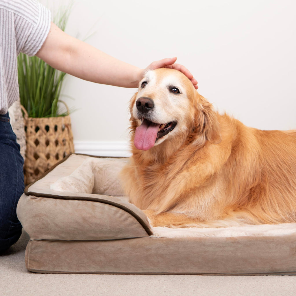 Furhaven Cooling Gel — Cama con Gel Refrescante para Perro