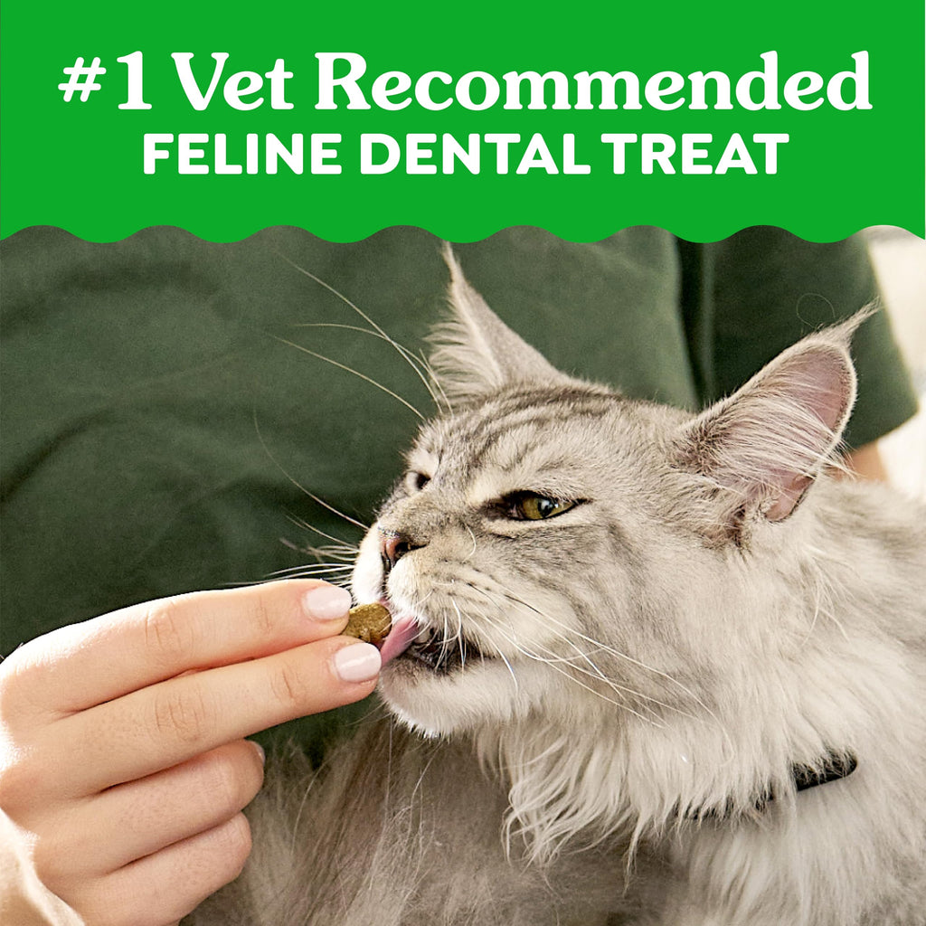 Greenies Feline — Premios Dentales Naturales para Gato Adulto, Sabor Atún Tentador