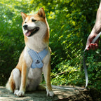 Patas Lague — Arnés con Correa y Bolsas para Cacas, Acolchado, Ajustable, Reflectante y Sin Jalones para Perros Pequeños y Medianos