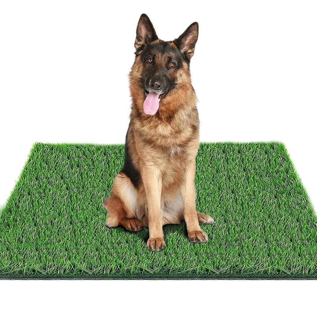 Fortune-star — Tapete de Pasto Artificial Reutilizable para Entrenamiento de Baño para Perros, Uso Interior y Exterior