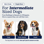MidWest iCrate — Jaula Plegable de Doble Puerta con Divisor para Perros Medianos