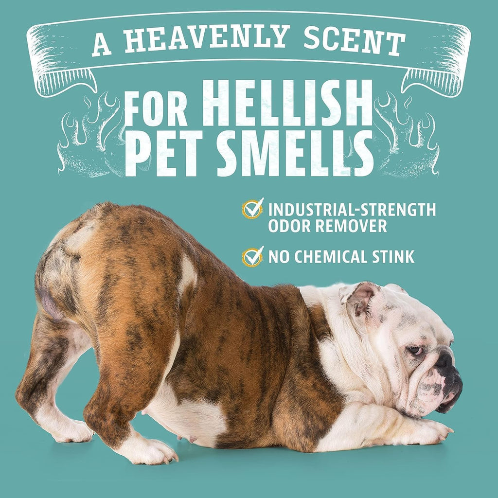 Angry Orange — Eliminador de Olores para Mascotas con Aceite Natural de Naranja para Orina de Perro y Gato, Manchas en Alfombras y Malos Olores