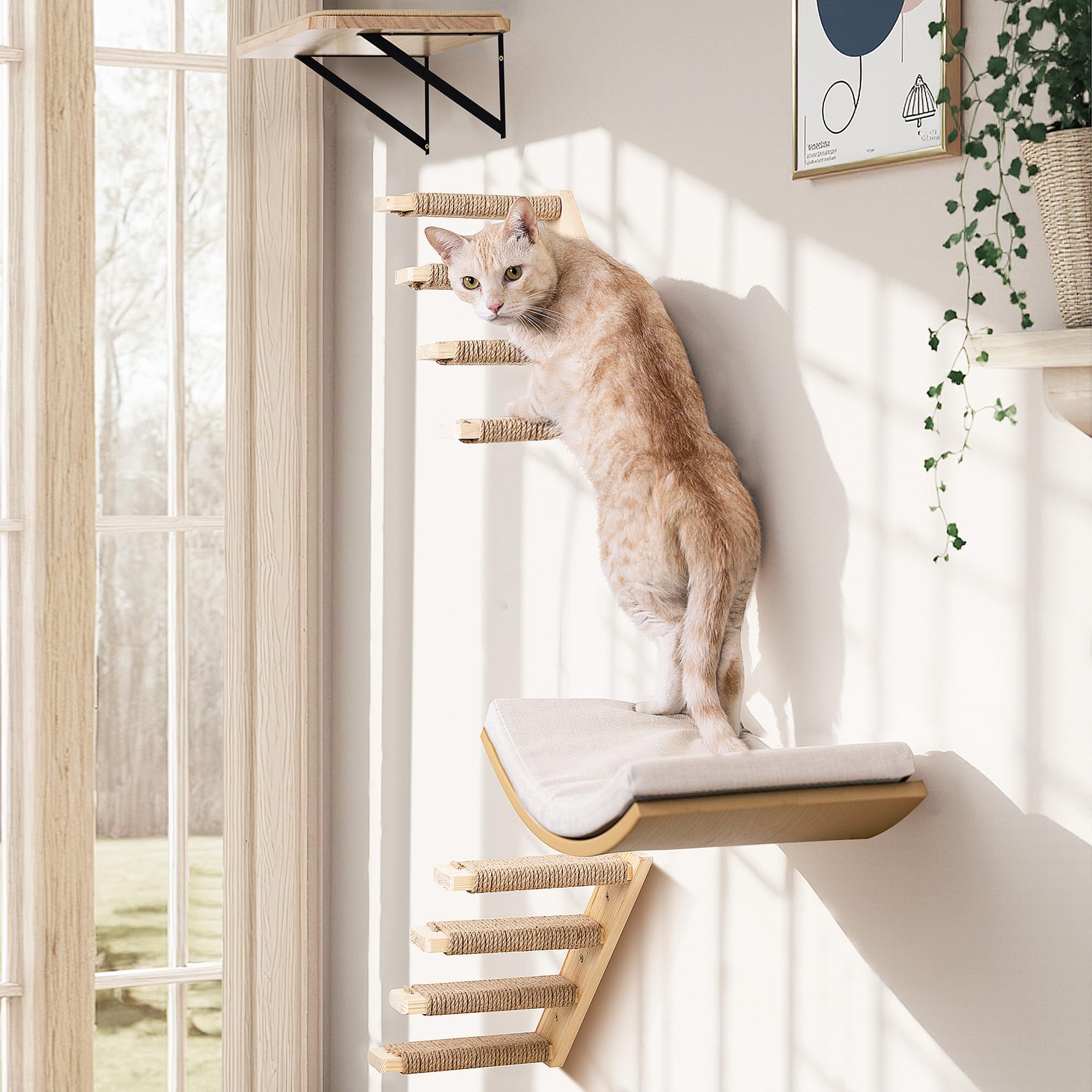 PELUO Curved — Cama Flotante para Gato con 2 Escalones de Pared y Percha de Ventana