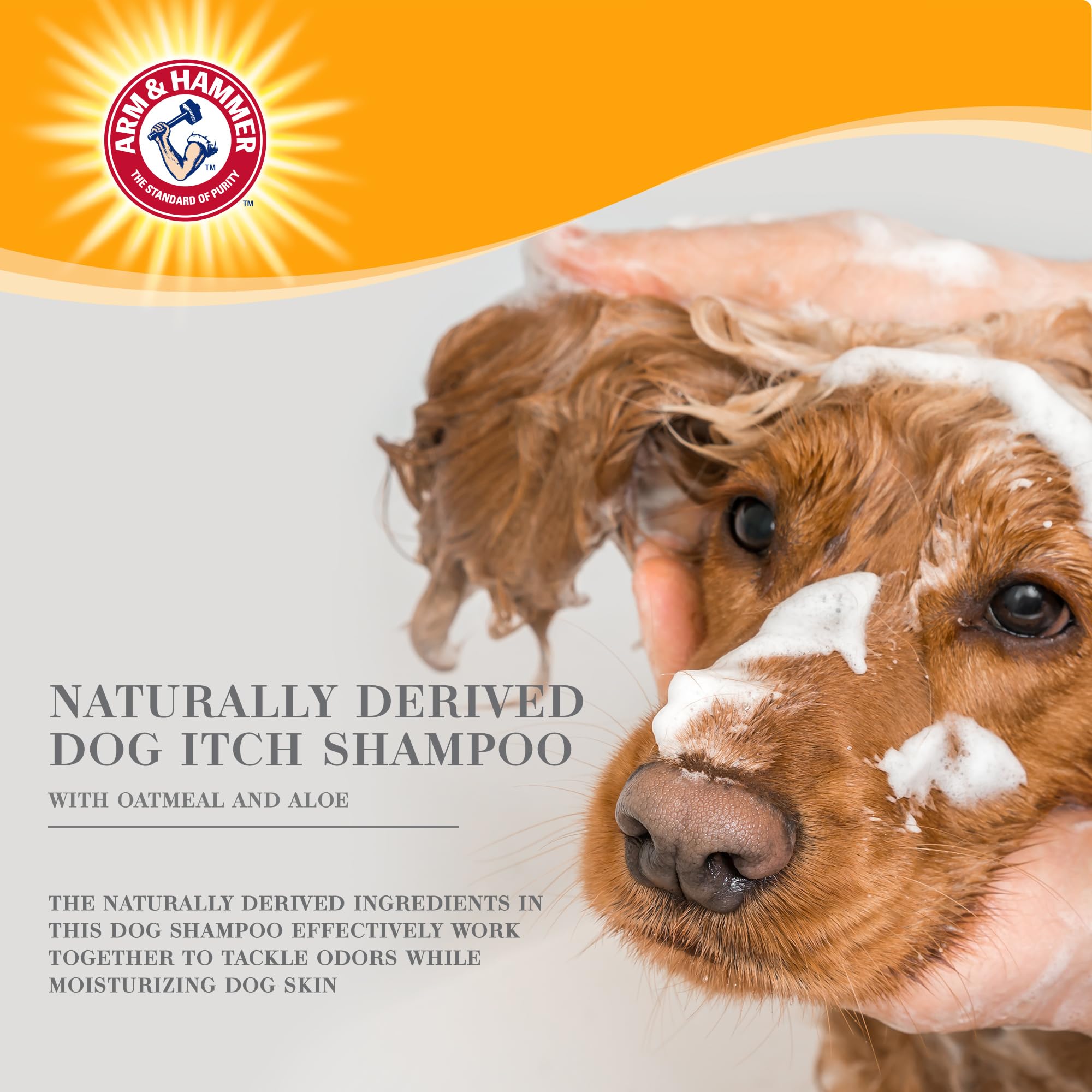 Arm & Hammer Ultra Fresh — Shampoo y Acondicionador para Cachorro