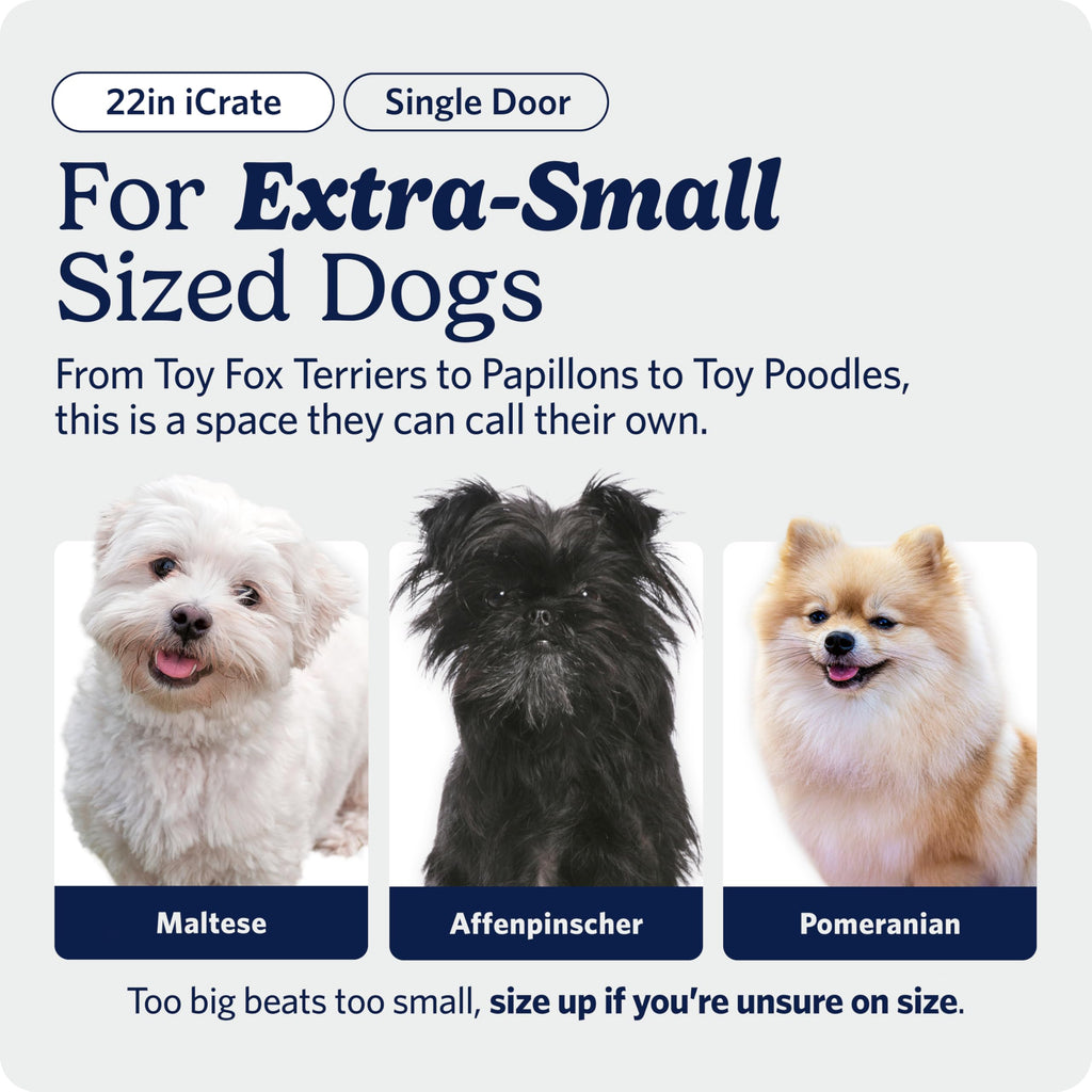 MidWest iCrate — Jaula Plegable de Doble Puerta con Divisor para Perros Medianos