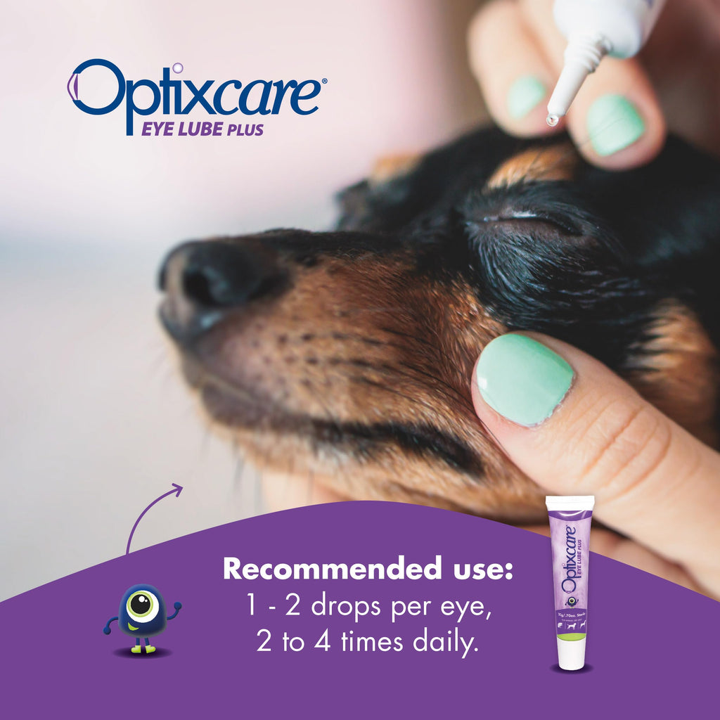 OptixCare Eye Lube Plus con Ácido Hialurónico — Gel Lubricante Ocular de Larga Duración para Perros, Gatos y Caballos 20g (Paquete de 3)