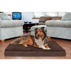 Furhaven — Cama Ortopédica con Cubierta Lavable y Desmontable para Perro