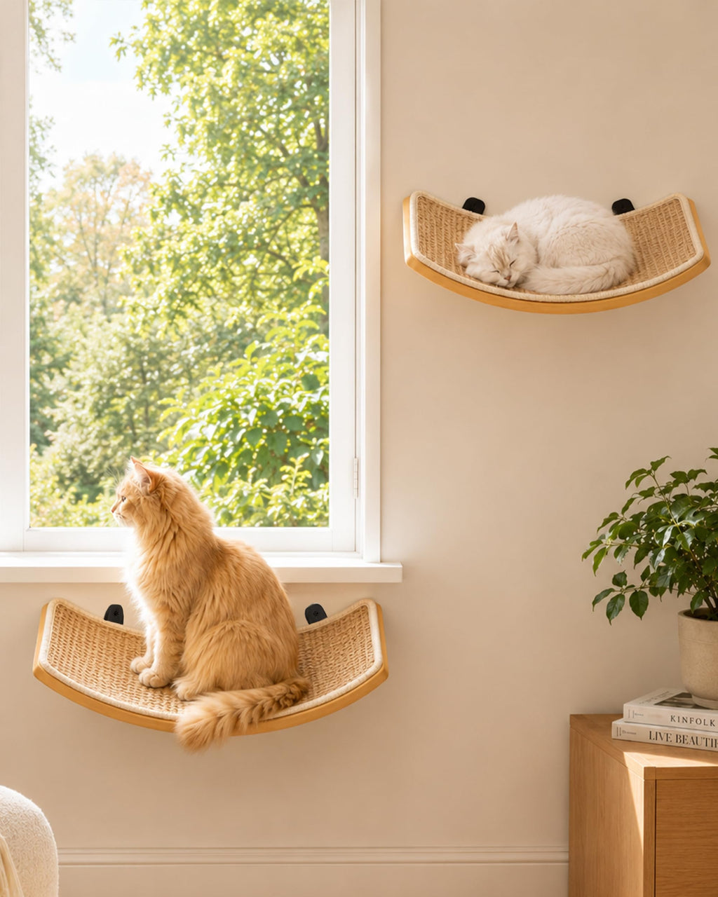 PELUO Curved — Cama Flotante para Gato con 2 Escalones de Pared y Percha de Ventana