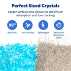 PetSafe ScoopFree — Arena de Cristal con Control de Olores para Gato