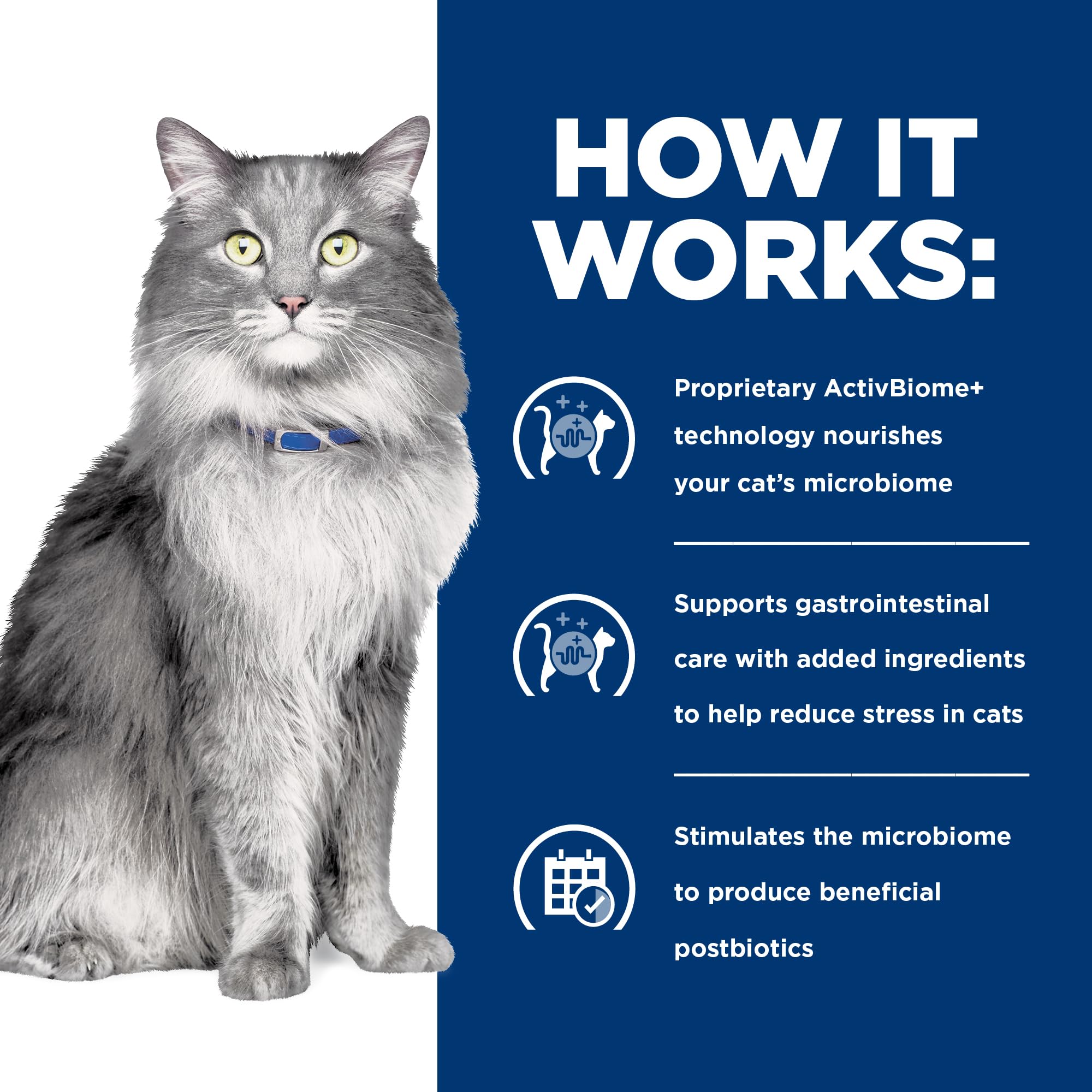 Hill's Prescription Diet Gastrointestinal Biome Stress — Alimento Húmedo para Gatos con Pollo y Verduras, Fórmula Digestiva y Antiestresante, Latas de 82g, Paquete de 24