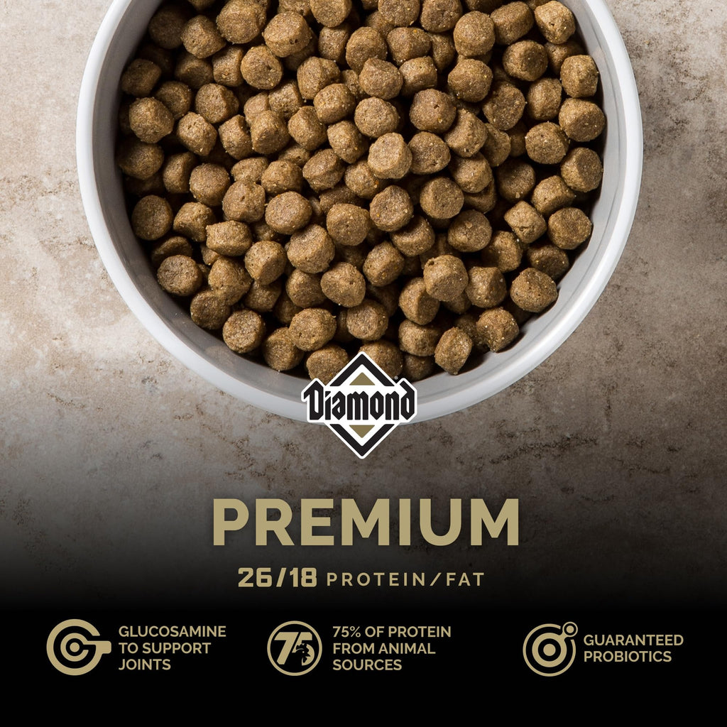 Diamond — Croquetas para Perros Adultos Muy Activos y Deportivos con Proteína, Probióticos y Antioxidantes