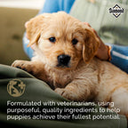 Diamond Premium Puppy — Alimento Seco Completo y Balanceado con Proteína de Pollo y Probióticos para Cachorros