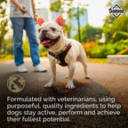 Diamond — Croquetas para Perros Adultos Muy Activos y Deportivos con Proteína, Probióticos y Antioxidantes