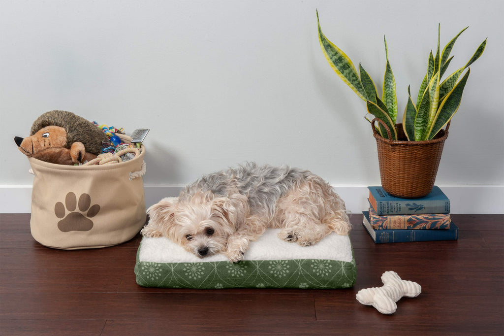 Furhaven — Cama Ortopédica con Cubierta Lavable y Desmontable para Perro