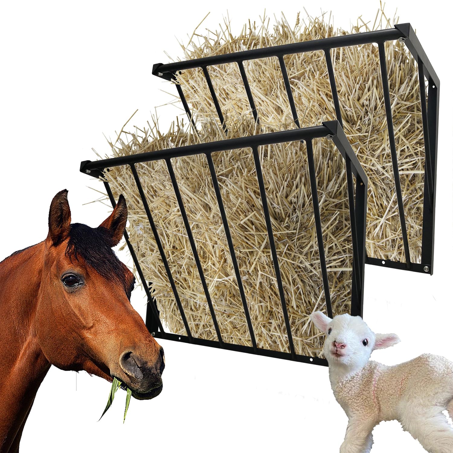 BUYYAH — Comedero Colgante de Heno de Acero al Carbono para Caballos, Ovejas y Cabras — Uso Interior y Exterior