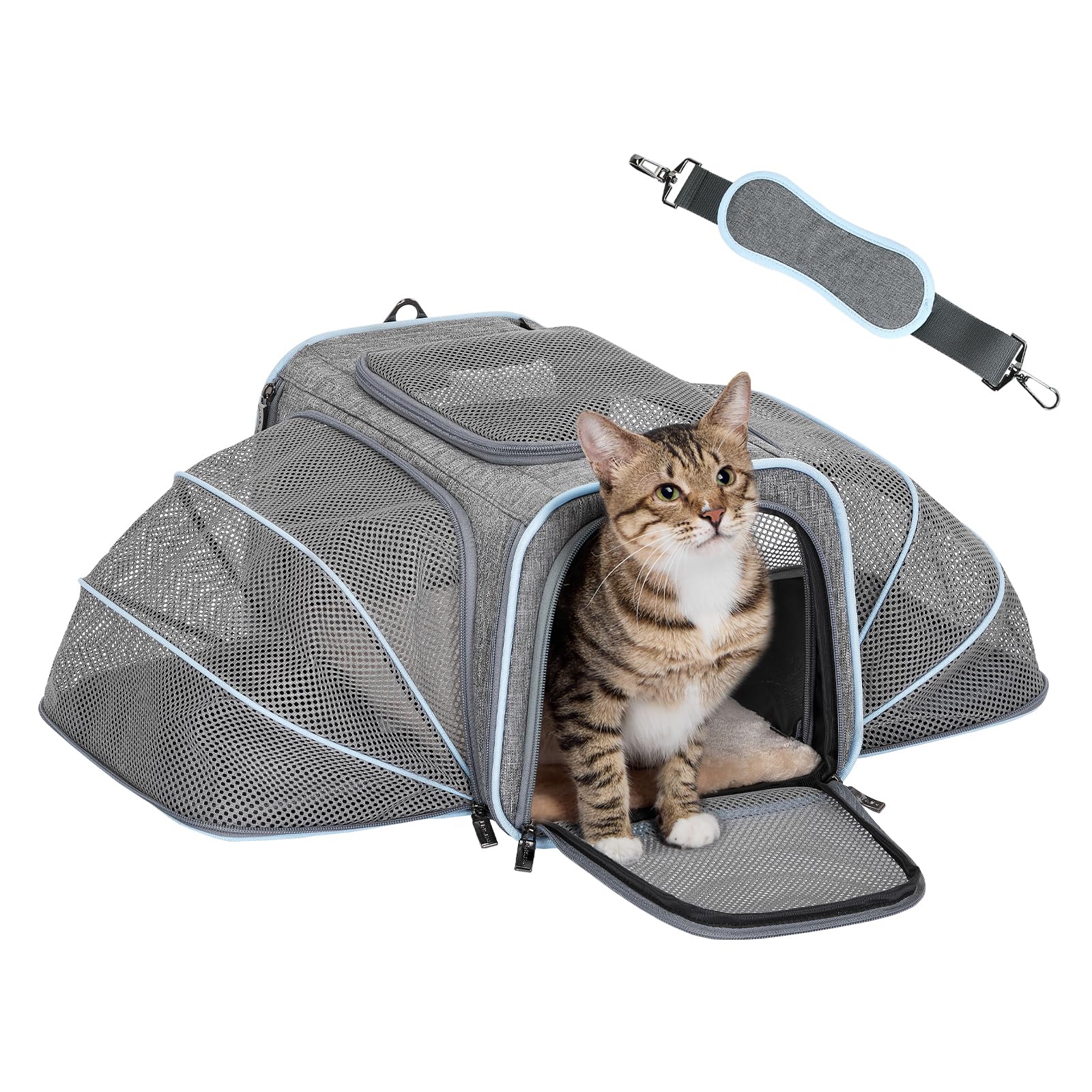 Petsfit — Transportadora Expandible para Gatos y Perros Pequeños, Aprobada por Aerolíneas, Plegable, Lavable y a Prueba de Escapes con 2 Paneles de Expansión