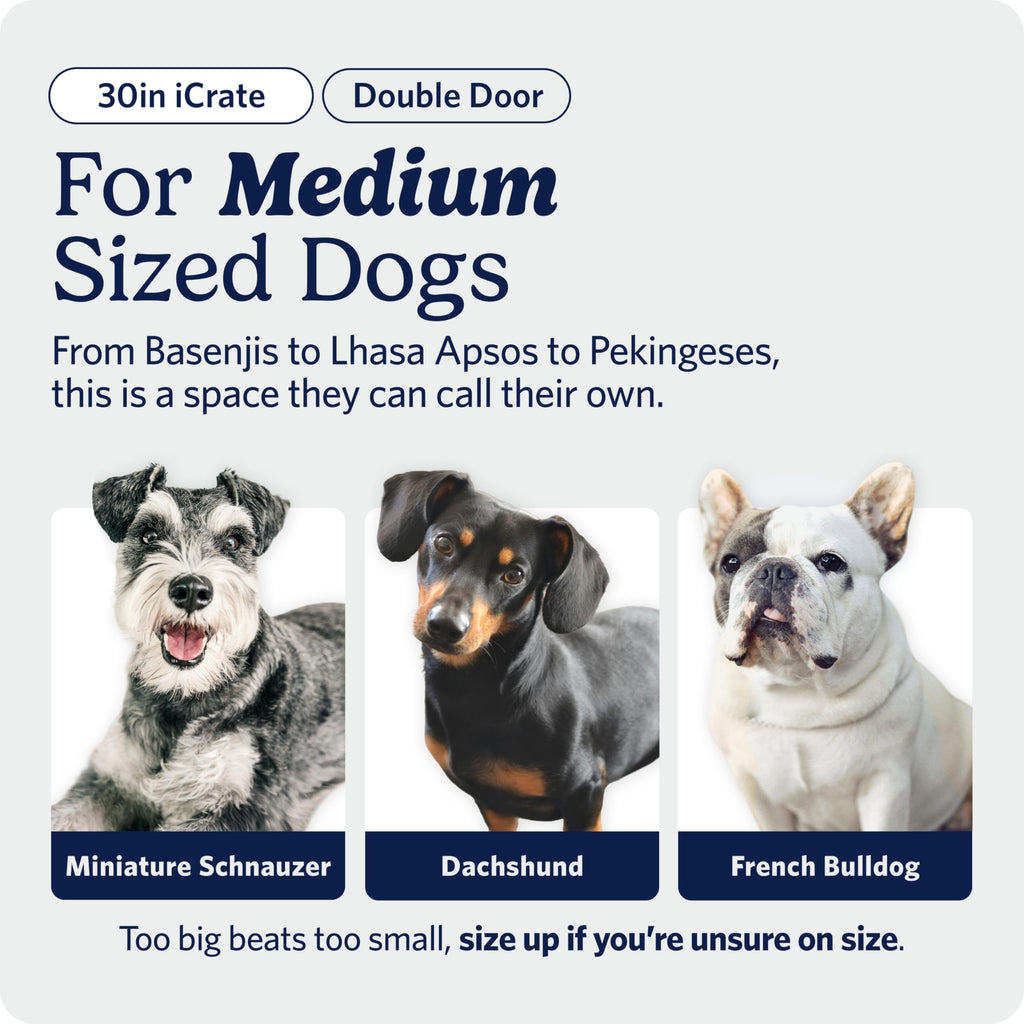 MidWest iCrate — Jaula Plegable de Doble Puerta con Divisor para Perros Medianos