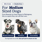 MidWest iCrate — Jaula Plegable de Doble Puerta con Divisor para Perros Medianos