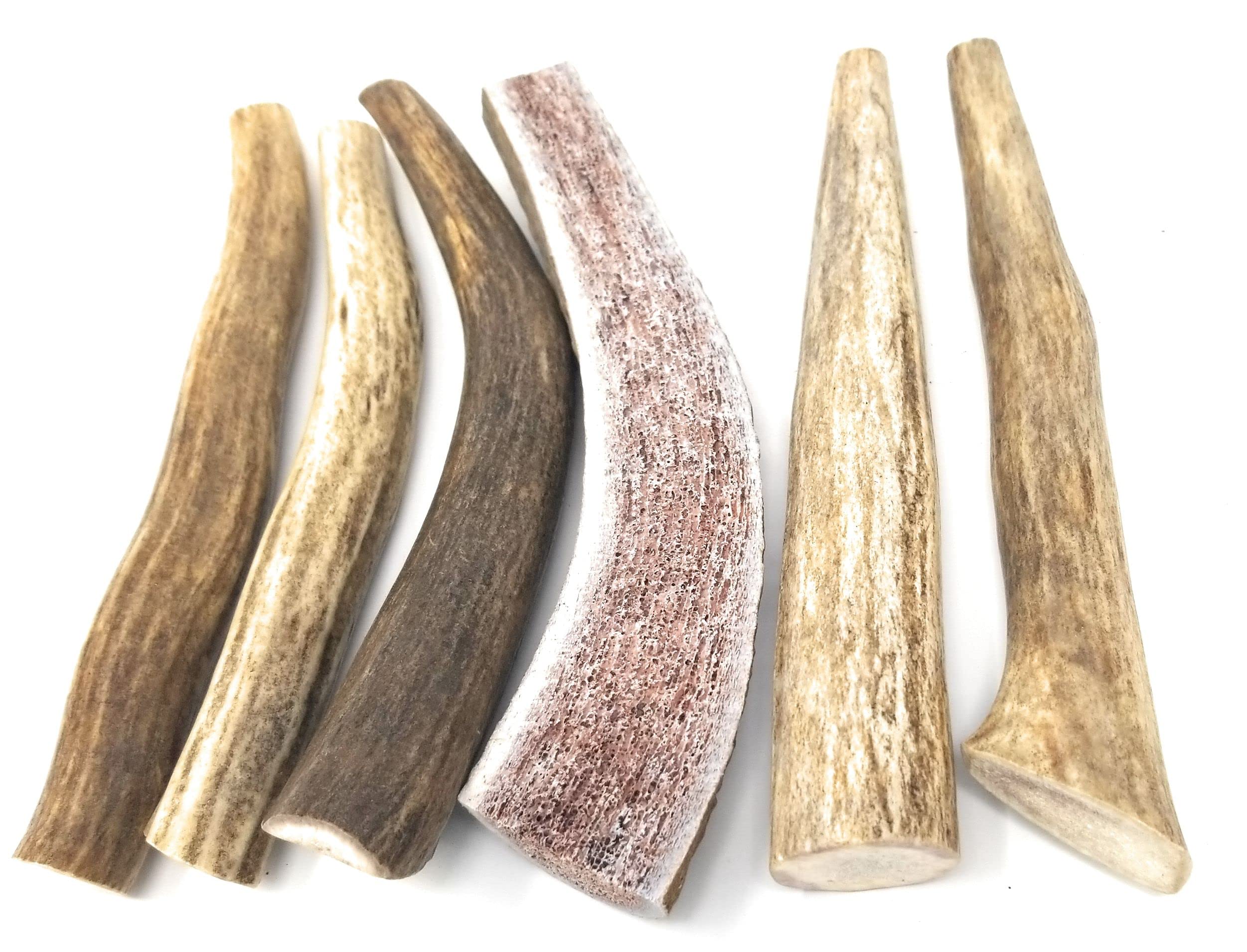Big Dog Antler Chews — Pack de 6 Mordedores Naturales de Asta de Venado y Alce para Perros Pequeños de 0 a 20 Libras