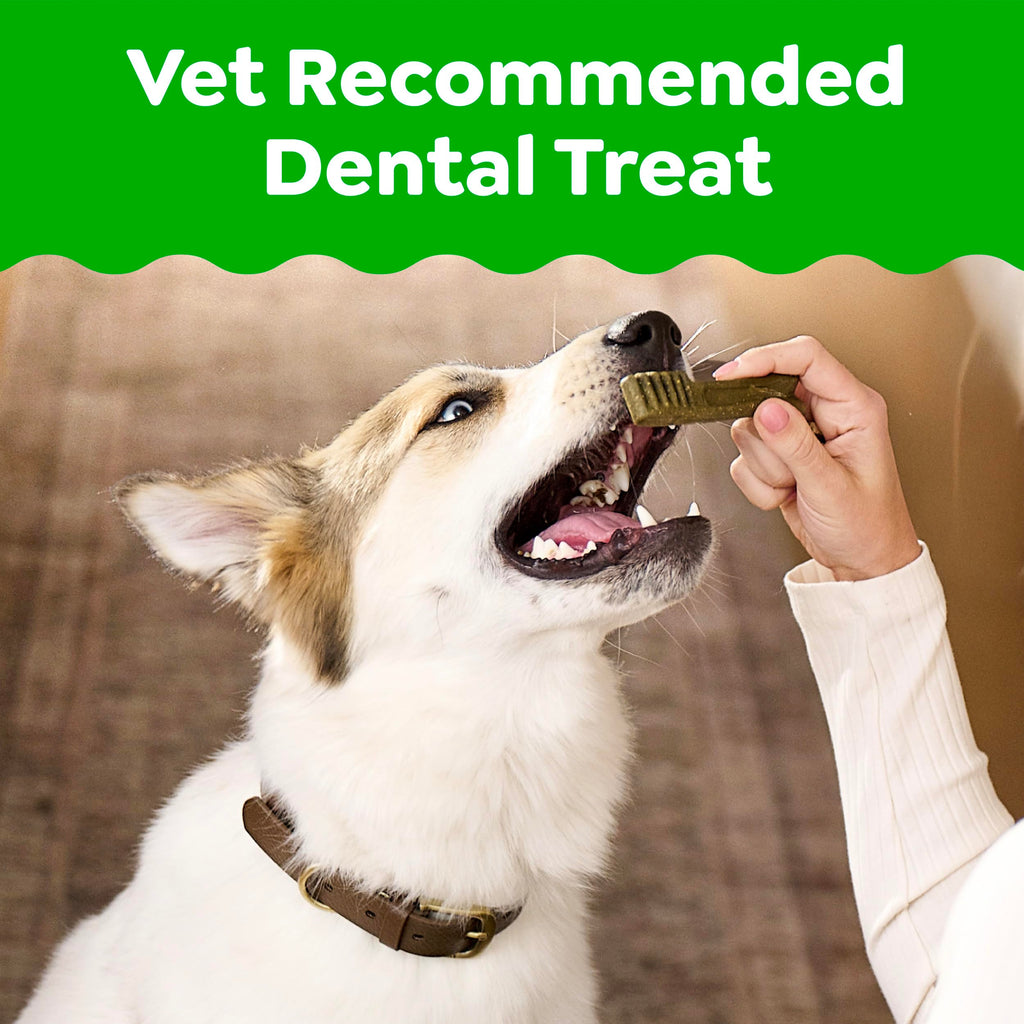 Greenies Teenie — Premios Dentales Naturales para Perro Pequeño