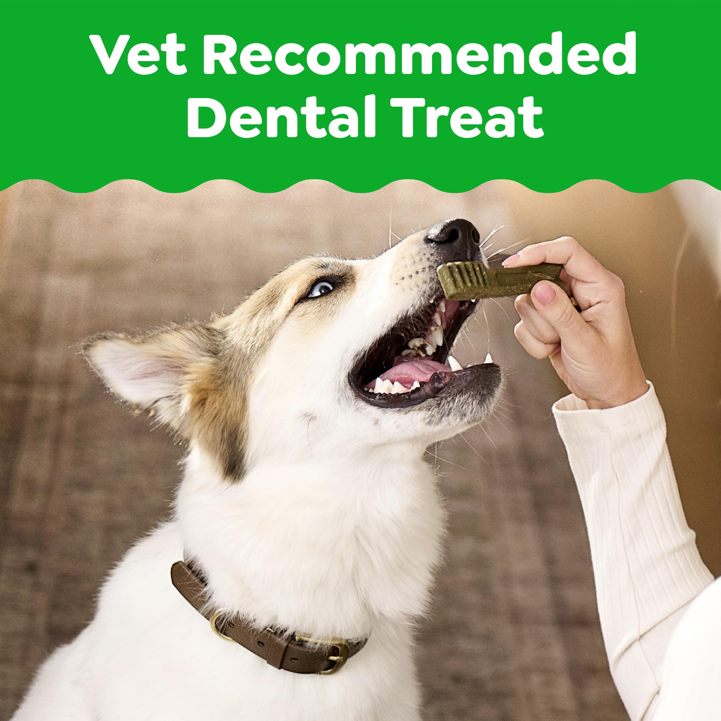 Greenies Teenie — Premios Dentales Naturales para Perro Pequeño