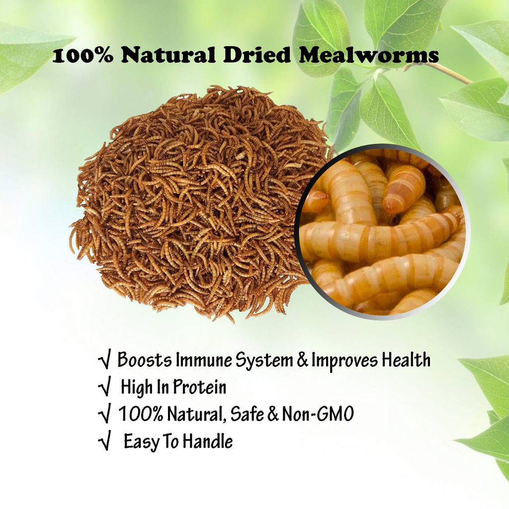 Amzey Gusanos de Harina Deshidratados — Alimento Natural Alto en Proteína para Pollos, Aves, Peces, Tortugas, Patos y Reptiles
