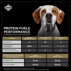 Diamond — Croquetas para Perros Adultos Muy Activos y Deportivos con Proteína, Probióticos y Antioxidantes