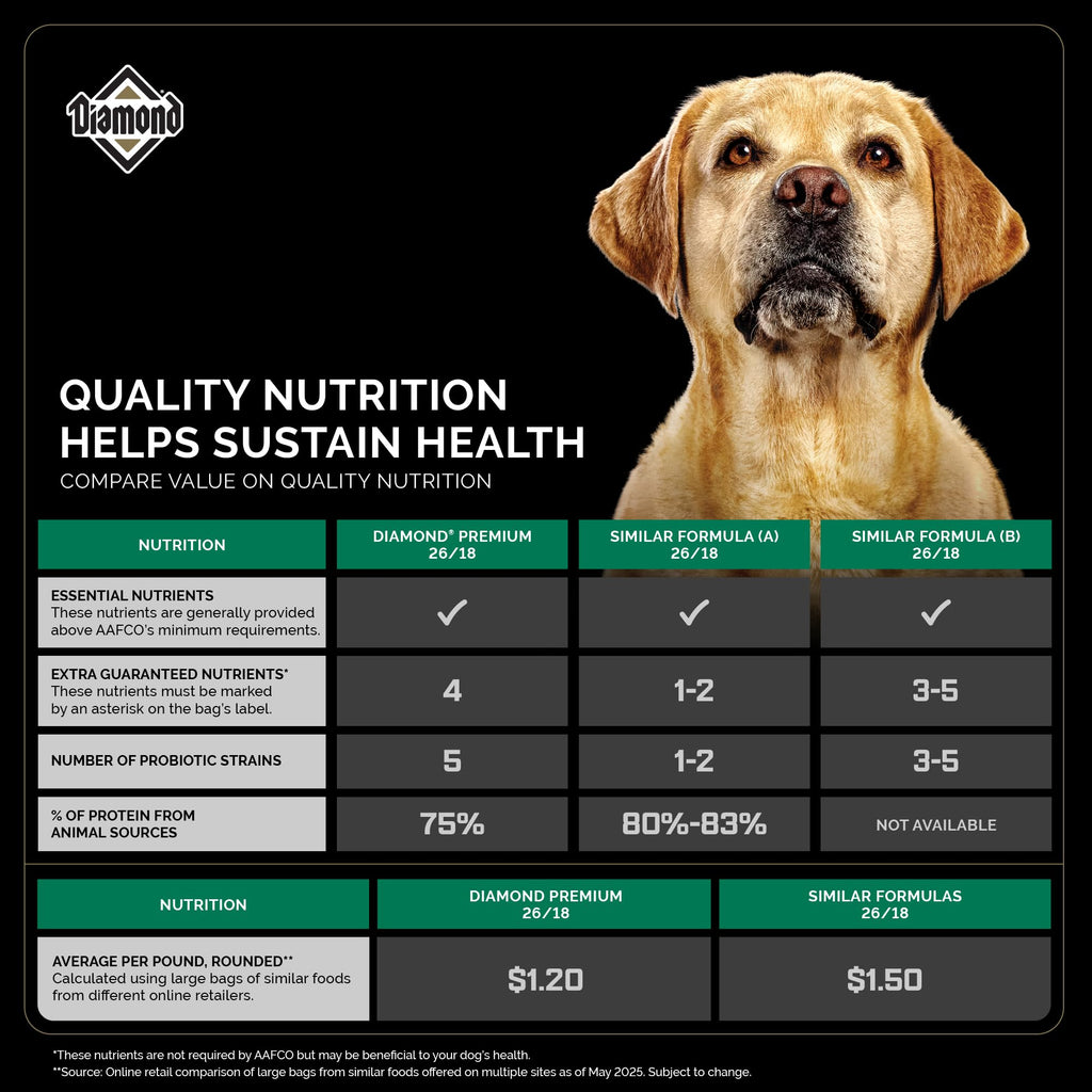 Diamond — Croquetas para Perros Adultos Muy Activos y Deportivos con Proteína, Probióticos y Antioxidantes