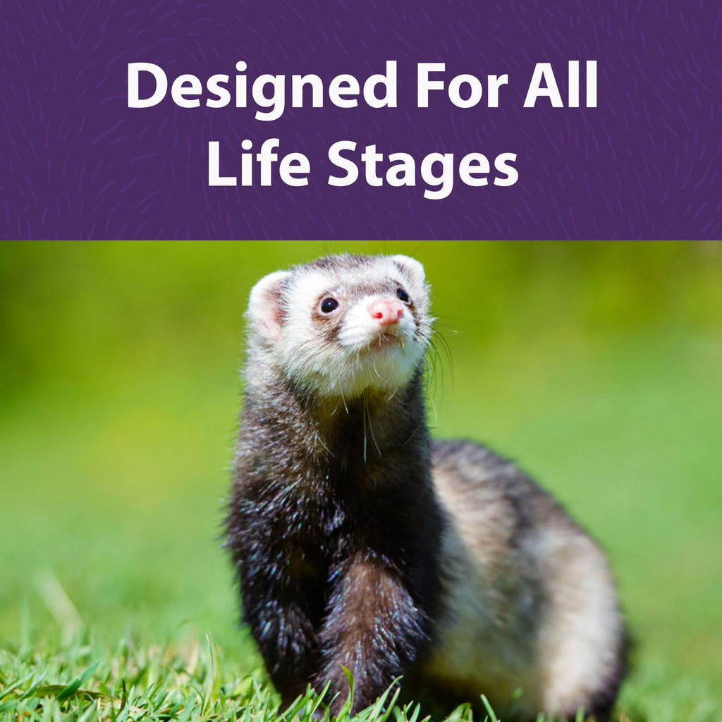 Mazuri Ferret Food — Alimento Seco Alto en Proteínas para Hurones