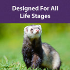 Mazuri Ferret Food — Alimento Seco Alto en Proteínas para Hurones