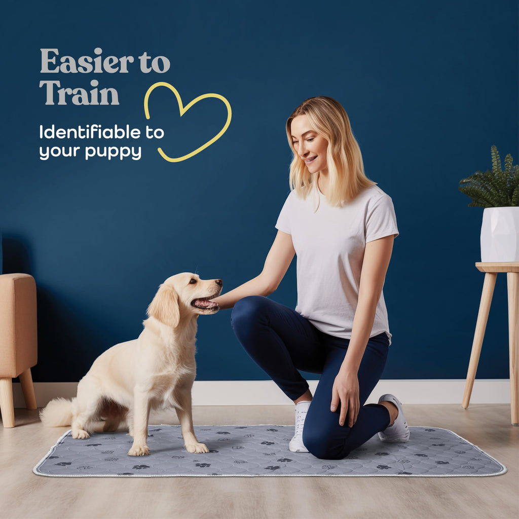 Tapete Entrenador Lavable y Reutilizable para Perros — Protección Impermeable Súper Absorbente contra Orina, Paquete de 2