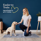 Tapete Entrenador Lavable y Reutilizable para Perros — Protección Impermeable Súper Absorbente contra Orina, Paquete de 2