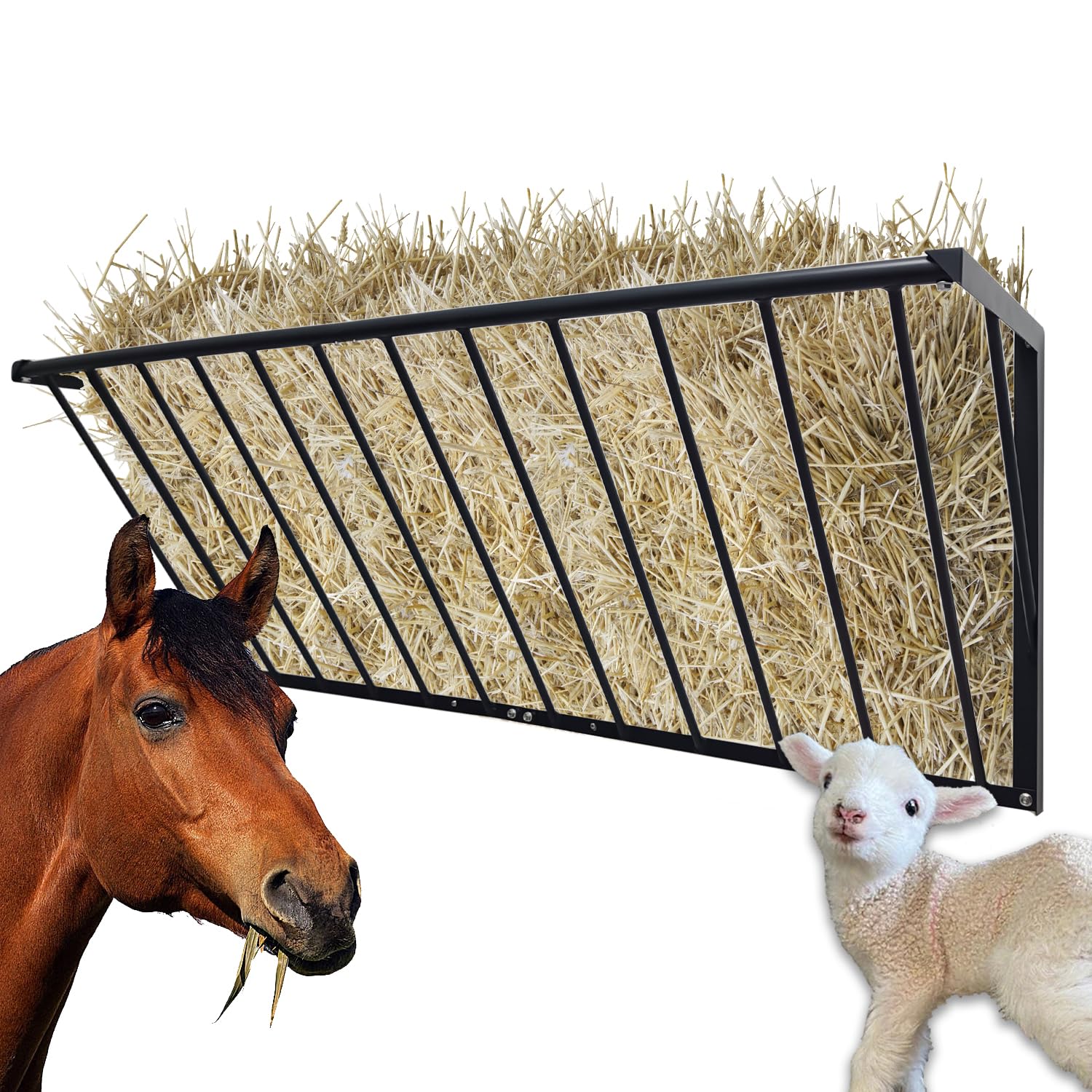 BUYYAH — Comedero Colgante de Heno de Acero al Carbono para Caballos, Ovejas y Cabras — Uso Interior y Exterior