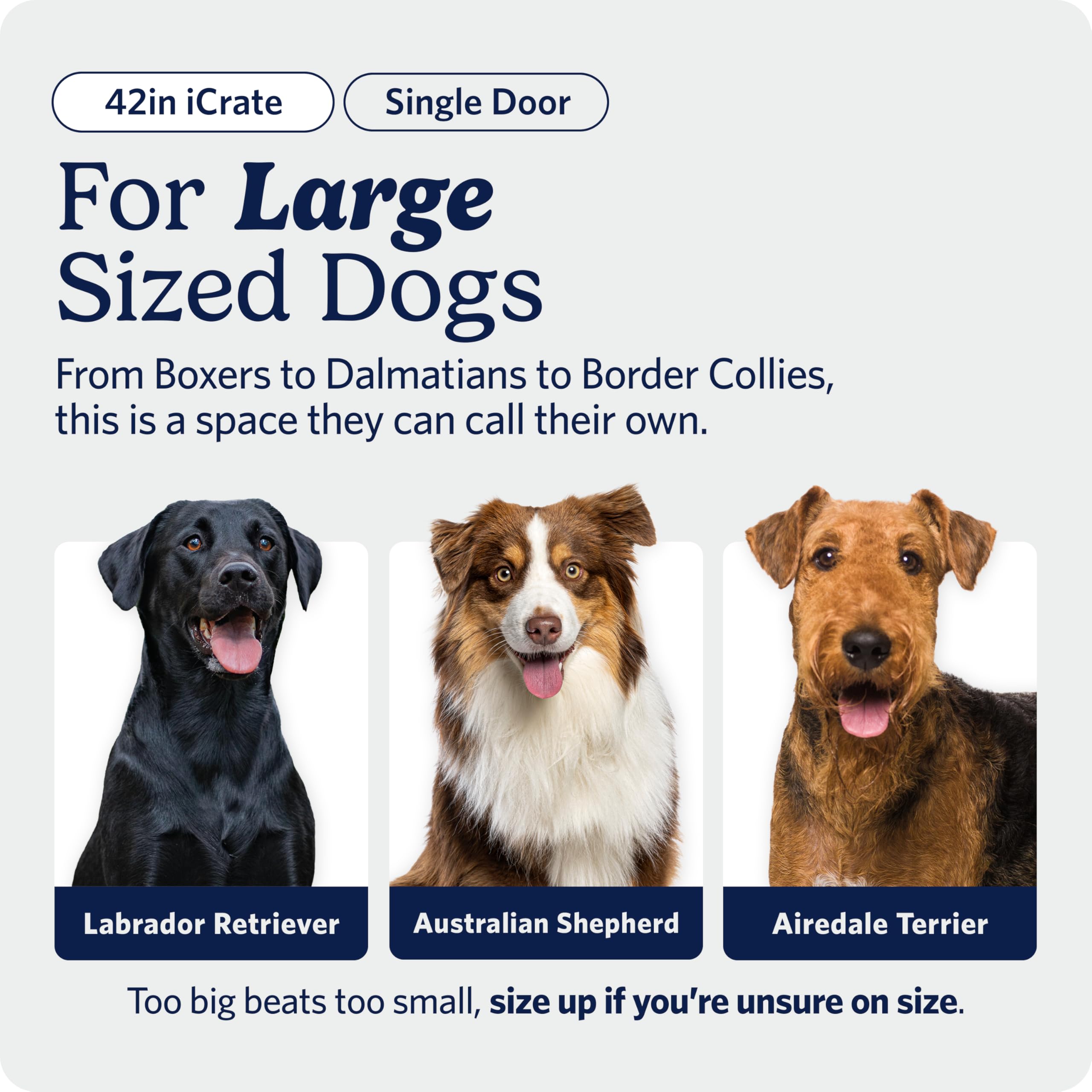 MidWest iCrate — Jaula Plegable de Doble Puerta con Divisor para Perros Medianos